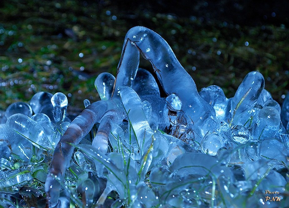 Álagning fasteignagjalda