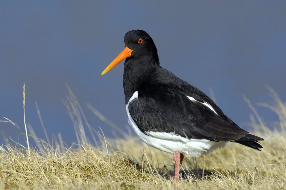 Fundarboð: 632 fundur sveitarstjórnar Mýrdalshrepps