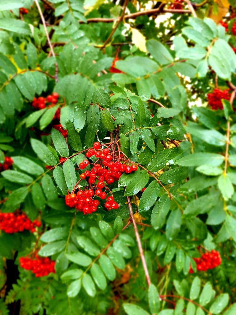 Horft til framtíðar!