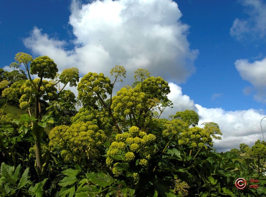 Fundarboð: 637 fundur sveitarstjórnar Mýrdalshrepps