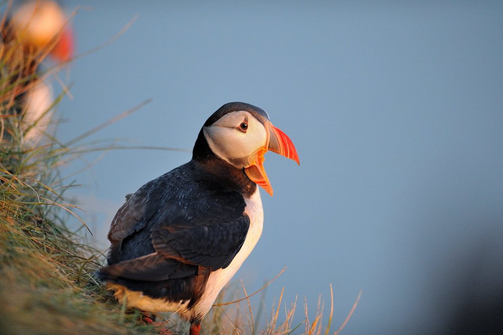Fundarboð: 634 fundur sveitarstjórnar Mýrdalshrepps