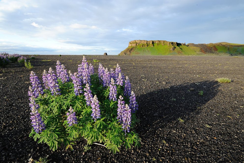 Fundarboð: 619 fundur sveitarstjórnar Mýrdalshrepps