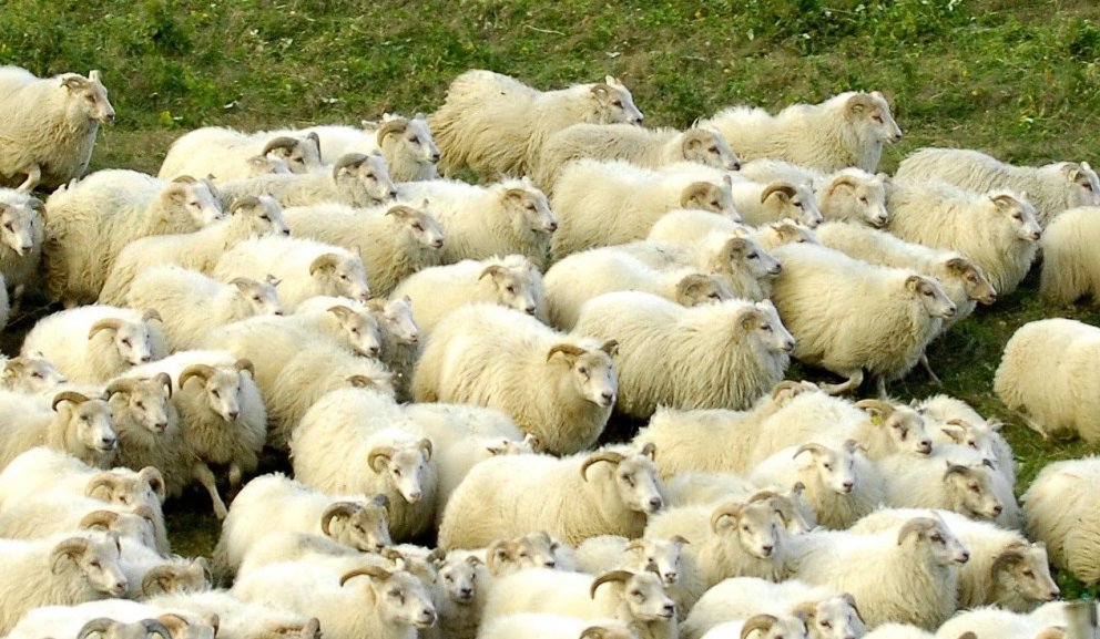 Fundarborð: 639 fundur sveitarstjórnar Mýrdalshrepps