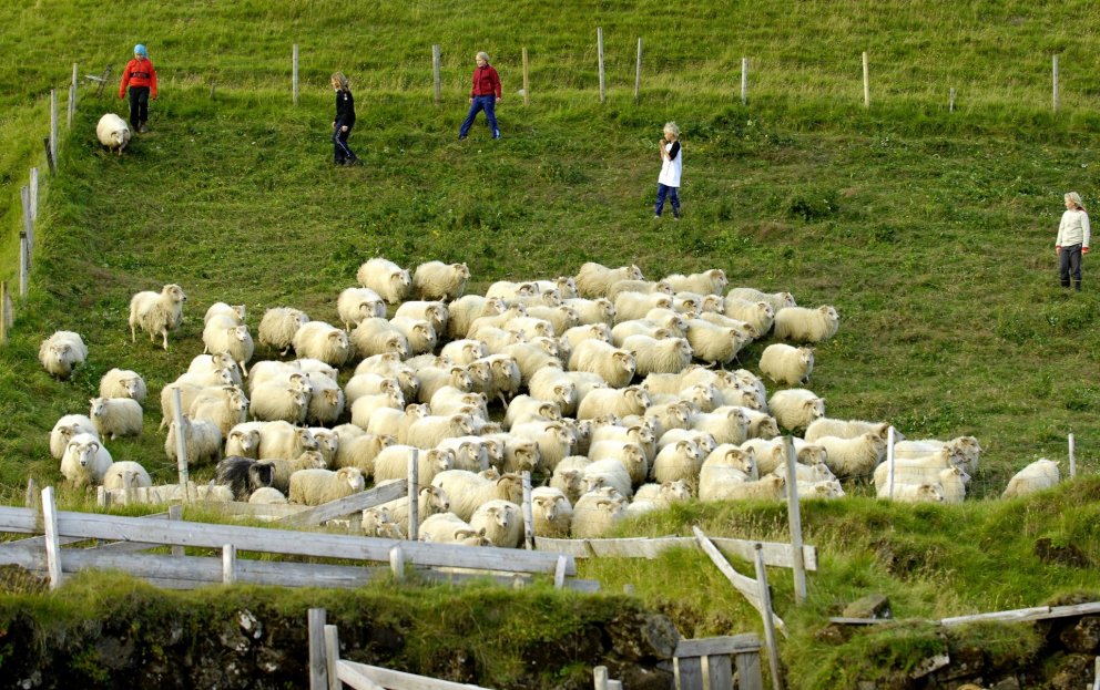 Fundarboð: 623 fundur sveitarstjórnar Mýrdalshrepps