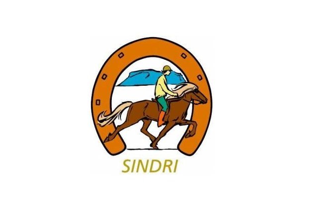 Reiðskóli Hestamannafélagsins Sindra verður haldinn 19.-23. júní 2023