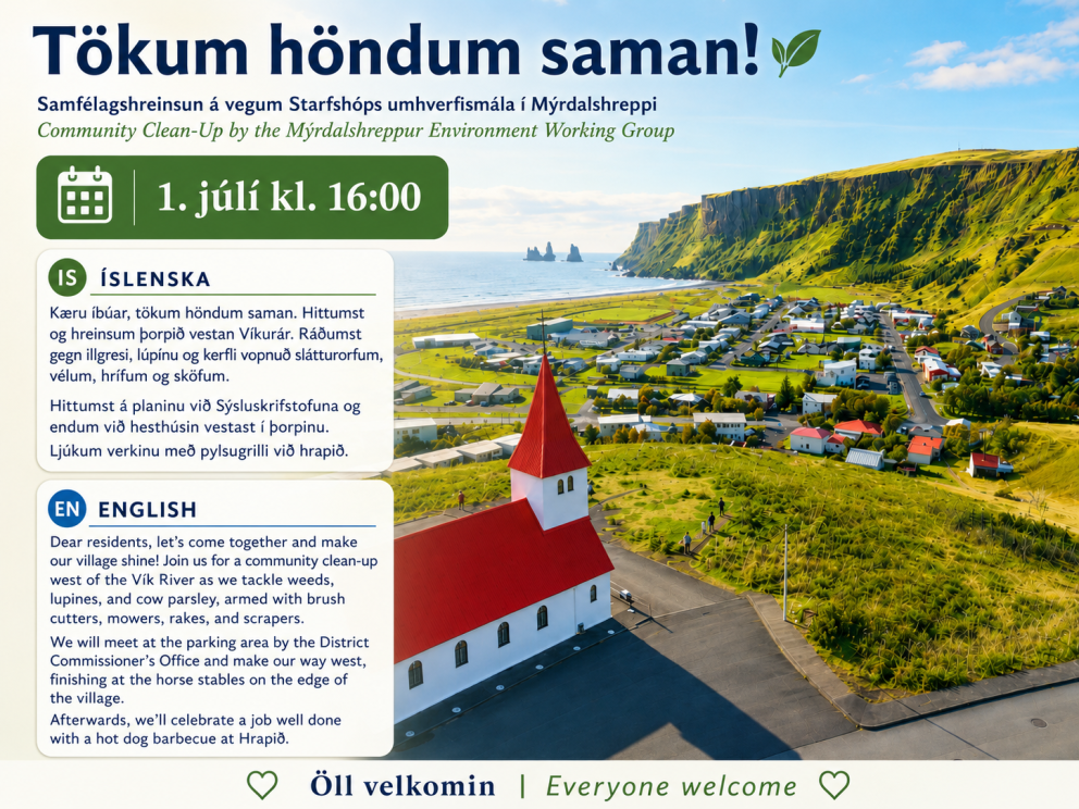 Hreinsunardagur í Vík