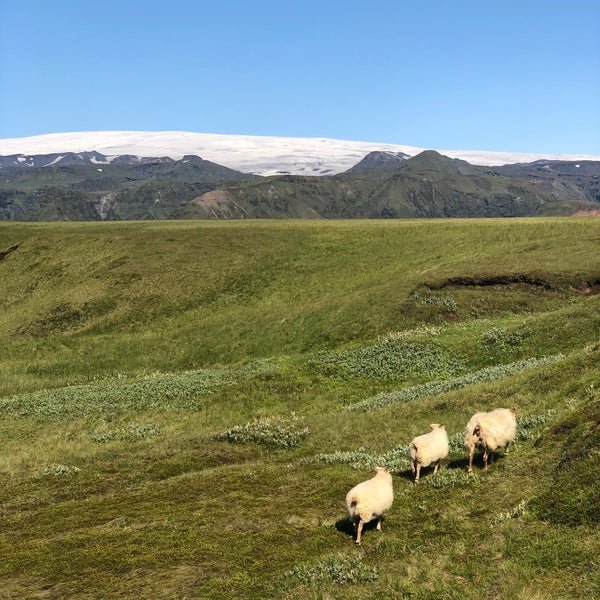 Smalamennskur í Mýrdalshreppi 2023