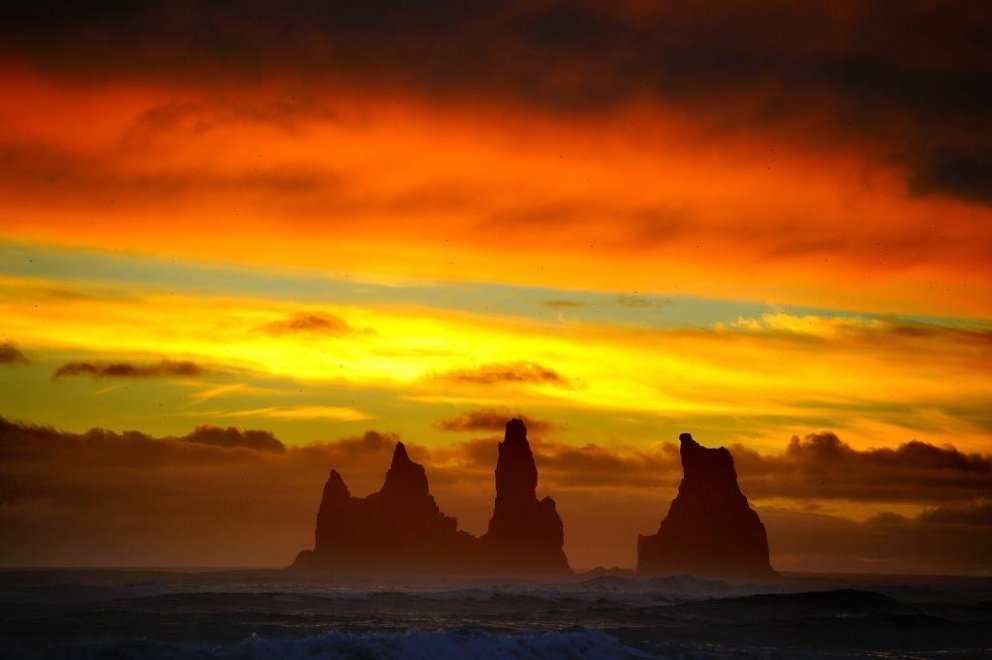 Laust starf - Þjónustu- og fjölmenningarfulltrúi