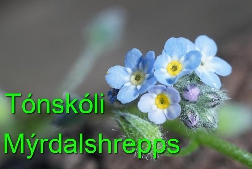 Tónlistarnám fyrir börn og fullorðna