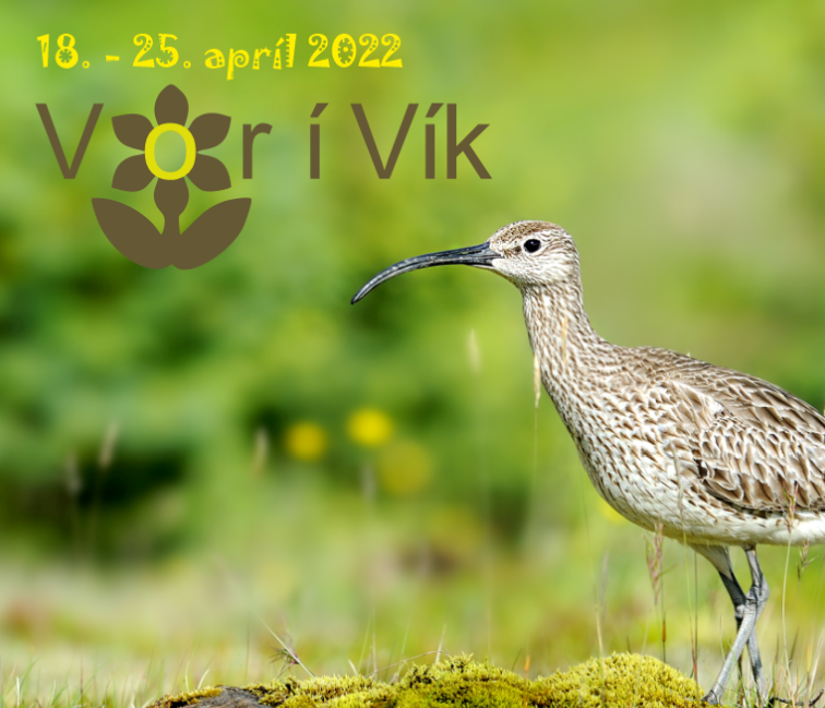 Vorhátíð Mýrdalshrepps