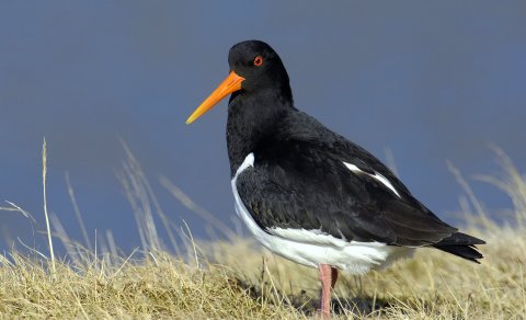 Fundarboð: 620 fundur sveitarstjórnar Mýrdalshrepps