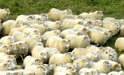 Fundarboð: 640 fundur sveitarstjórnar Mýrdalshrepps