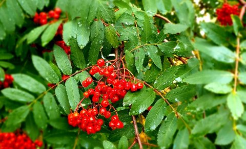 Horft til framtíðar!