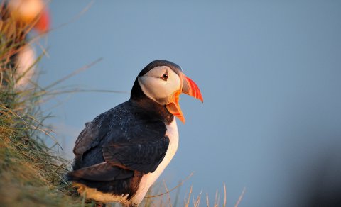 Fundarboð: 634 fundur sveitarstjórnar Mýrdalshrepps