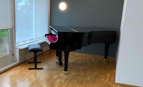 Flyglinum hefur verið komið fyrir í Tónskóla Mýrdalshrepps, Sunnubraut 7