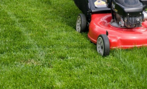 Garðsláttur fyrir elliífeyris og örorkuþega í Mýrdalshreppi