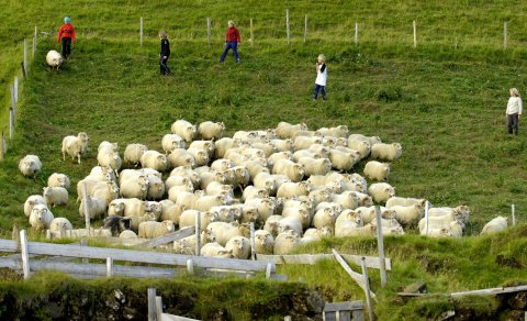 Fundarboð: 623 fundur sveitarstjórnar Mýrdalshrepps