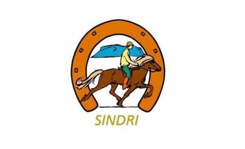 Reiðskóli Hestamannafélagsins Sindra verður haldinn 19.-23. júní 2023