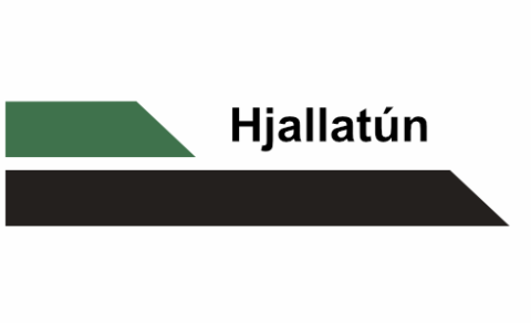 Hjúkrunarfræðingur / Deildarstjóri II – Vík (90–100% starf)