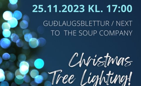 Kveikt á jólatré / Lighting the Christmas tree