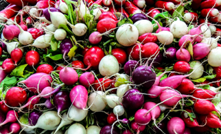 Matjurtargarðar til afnota