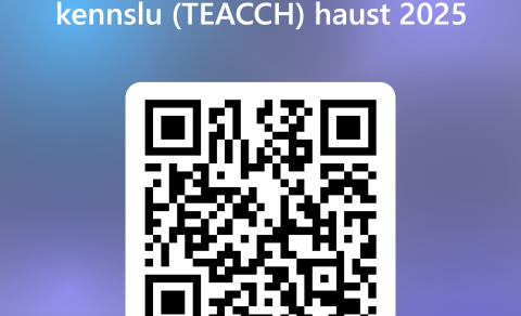 Námskeið í skipulagðri kennslu