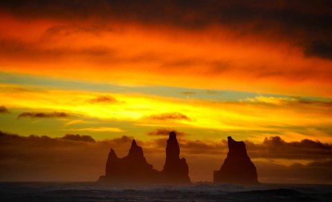 Laust starf - Þjónustu- og fjölmenningarfulltrúi