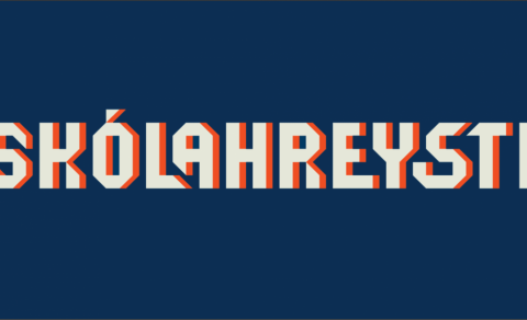Víkurskóli keppir í Skólahreysti í dag 27. apríl