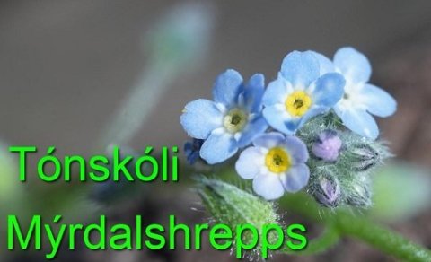 Tónlistarnám fyrir börn og fullorðna