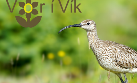 Vorhátíð Mýrdalshrepps